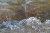 <img100*0:stuff/z/73640/Frio%2520River%2520reference/i1263429613_32.jpg>