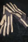 <img100*0:stuff/z/73640/Glove%2520reference/i1265336821_1.jpg>