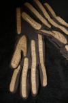 <img100*0:stuff/z/73640/Glove%2520reference/i1265336822_2.jpg>