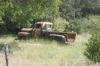 <img100*0:stuff/z/73640/Greenery%2520Reference/i1265087994_10.jpg>
