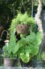 greenery reference