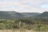 <img100*0:stuff/z/73640/Greenery%2520Reference/i1265087994_6.jpg>