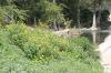 <img100*0:stuff/z/73640/Greenery%2520Reference/i1265087995_26.jpg>