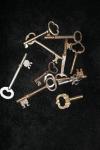 <img100*0:stuff/z/73640/Keys%2520Reference/i1265336235_2.jpg>