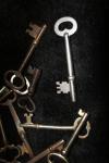 <img100*0:stuff/z/73640/Keys%2520Reference/i1265336239_6.jpg>