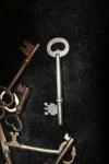 <img100*0:stuff/z/73640/Keys%2520Reference/i1265336246_15.jpg>
