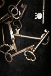 <img100*0:stuff/z/73640/Keys%2520Reference/i1265336247_17.jpg>