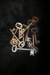 <img100*0:stuff/z/73640/Keys%2520Reference/i1265343605_9.jpg>