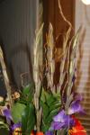 <img100*0:stuff/z/73640/Misc%2520Colored%2520Flowers/i1282705008_3.jpg>