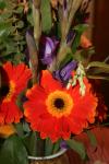 <img100*0:stuff/z/73640/Misc%2520Colored%2520Flowers/i1282705008_4.jpg>