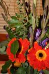 <img100*0:stuff/z/73640/Misc%2520Colored%2520Flowers/i1282705011_8.jpg>