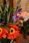 <img100*0:stuff/z/73640/Misc%2520Colored%2520Flowers/i1282705016_14.jpg>