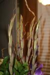 <img100*0:stuff/z/73640/Misc%2520Colored%2520Flowers/i1282705018_16.jpg>