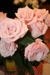 <img100*0:stuff/z/73640/Misc%2520Colored%2520Flowers/i1282706258_7.jpg>