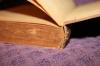 <img100*0:stuff/z/73640/Once%2520Upon%2520a%2520Time%2520.../i1258611200_14.jpg>