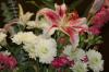 <img100*0:stuff/z/73640/Pink%2520Flower%2520Reference/i1265027369_13.jpg>