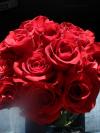 <img100*0:stuff/z/73640/Rose%2520Reference.2%2520upload/i1266398225_2.jpg>