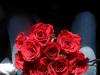 <img100*0:stuff/z/73640/Rose%2520Reference.2%2520upload/i1266398225_5.jpg>
