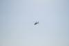 <img100*0:stuff/z/73640/Texas%2520coastline/i1262479194_10.jpg>