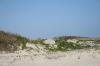 <img100*0:stuff/z/73640/Texas%2520coastline/i1262479194_11.jpg>