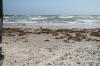 <img100*0:stuff/z/73640/Texas%2520coastline/i1262479194_12.jpg>