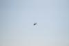 <img100*0:stuff/z/73640/Texas%2520coastline/i1262479194_15.jpg>