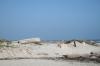<img100*0:stuff/z/73640/Texas%2520coastline/i1262479194_16.jpg>