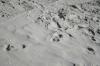 <img100*0:stuff/z/73640/Texas%2520coastline/i1262479194_2.jpg>