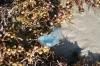 <img100*0:stuff/z/73640/Texas%2520coastline/i1262479194_6.jpg>
