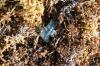 <img100*0:stuff/z/73640/Texas%2520coastline/i1262479195_19.jpg>