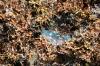 <img100*0:stuff/z/73640/Texas%2520coastline/i1262479195_24.jpg>
