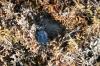 <img100*0:stuff/z/73640/Texas%2520coastline/i1262479195_28.jpg>