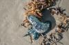 <img100*0:stuff/z/73640/Texas%2520coastline/i1262479195_30.jpg>