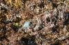 <img100*0:stuff/z/73640/Texas%2520coastline/i1262479195_33.jpg>