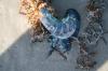 <img100*0:stuff/z/73640/Texas%2520coastline/i1262479195_34.jpg>
