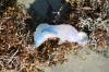 <img100*0:stuff/z/73640/Texas%2520coastline/i1262479196_39.jpg>