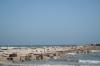 <img100*0:stuff/z/73640/Texas%2520coastline/i1262480845_1.jpg>
