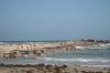 <img100*0:stuff/z/73640/Texas%2520coastline/i1262480845_2.jpg>