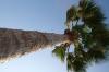 <img100*0:stuff/z/73640/Texas%2520coastline/i1262480845_3.jpg>