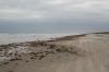<img100*0:stuff/z/73640/Texas%2520coastline/i1262480845_4.jpg>