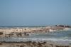 <img100*0:stuff/z/73640/Texas%2520coastline/i1262480845_6.jpg>