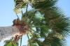 <img100*0:stuff/z/73640/Texas%2520coastline/i1262480846_15.jpg>