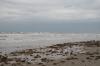 <img100*0:stuff/z/73640/Texas%2520coastline/i1262480846_8.jpg>