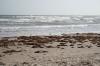 <img100*0:stuff/z/73640/Texas%2520coastline/i1262480846_9.jpg>