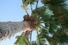 <img100*0:stuff/z/73640/Texas%2520coastline/i1262480847_18.jpg>