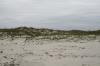 <img100*0:stuff/z/73640/Texas%2520coastline/i1262480847_19.jpg>