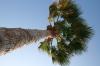 <img100*0:stuff/z/73640/Texas%2520coastline/i1262480847_21.jpg>