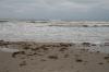 <img100*0:stuff/z/73640/Texas%2520coastline/i1262480847_22.jpg>