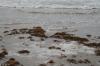 <img100*0:stuff/z/73640/Texas%2520coastline/i1262480847_23.jpg>