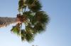 <img100*0:stuff/z/73640/Texas%2520coastline/i1262480847_24.jpg>